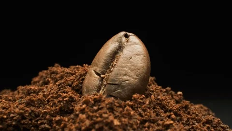 Single Coffee Bean And Ground Coffee. Macro Shot. Slow Motion. Stock Footage 108789807