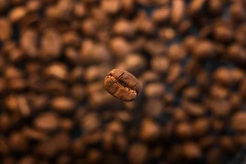 Single Coffee Bean Flying over Pile of Beans Stock Photos