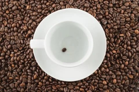 Single coffee bean inside a cup Stock Photos