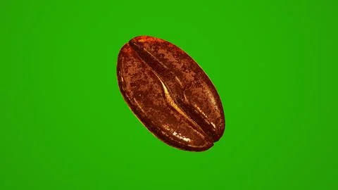 Single coffee bean isolated on green chromakey background. 3D render. Stock Photos