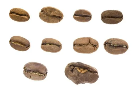 A single coffee bean isolated on white background . Stock Photos