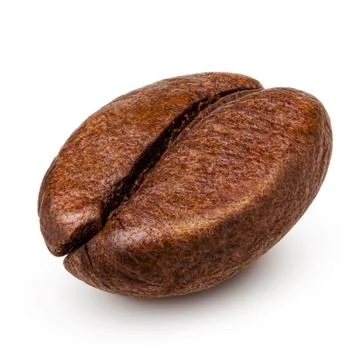 Single coffee bean isolated on white background Stock Photos