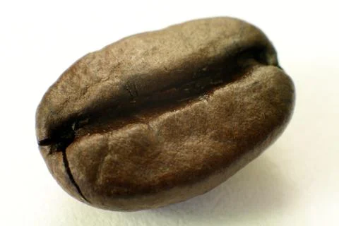 Single Coffee Bean Macro Foto stock