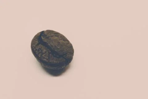 Single Coffee Bean in Matte Stock Photos