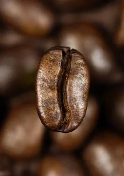Single coffee bean Stock Photos