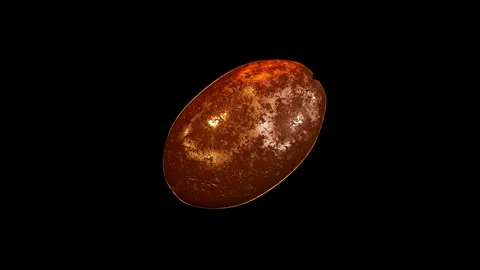 Single coffee bean rotation on black background. Stock Footage 168561198