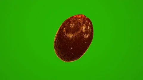 Single coffee bean rotation on chromakey background. Stock Footage 168561196