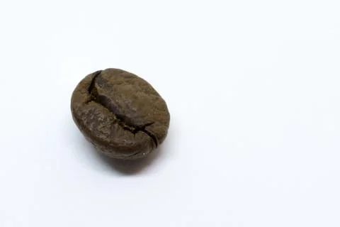 Single Coffee Bean on White Background Foto stock