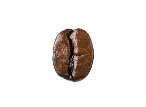 A single coffee bean on a white background. Stock Photos