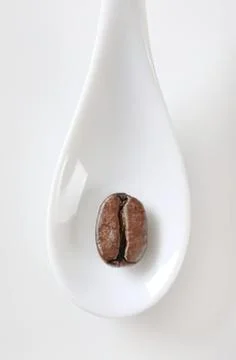 Single coffee bean on white spoon Stock Photos