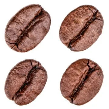Single coffee beans isolated on white background. Top view Stock Photos