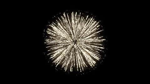 Single Colorfull Firework in a Clear Dark Background Stock Footage 120553342