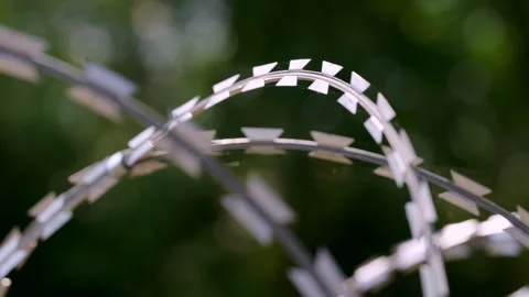 Single Concertina Razor Wire Loop Against Green Bokeh, Macro Stock-Footage 344122783