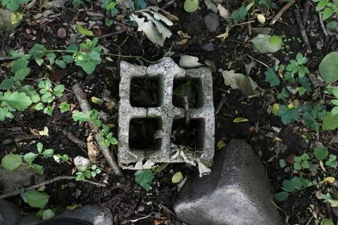 Single concrete brick lying on the ground Stock Photos