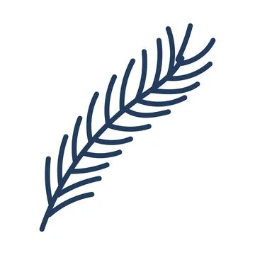 Single coniferous, spruce tree branch isolated. Stock Illustration
