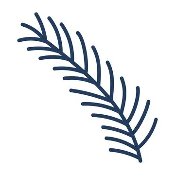 Single coniferous, spruce tree branch isolated. Stock Illustration