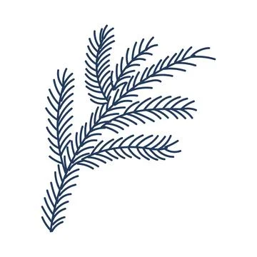 Single coniferous, spruce tree branch isolated. Stock Illustration