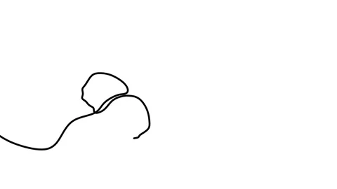 Single continuous drawing of butterfly, drawing by hand with black lines and  Stock Footage 157036717