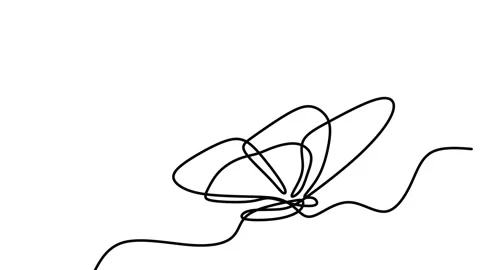 Single continuous drawing of butterfly, drawing by hand with black lines and  Stock Footage 157037446