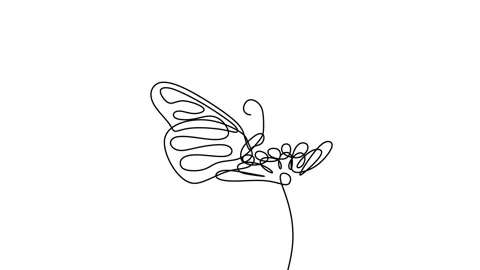 Single continuous drawing of butterfly, drawing by hand with black lines and  Stock Footage 157037591