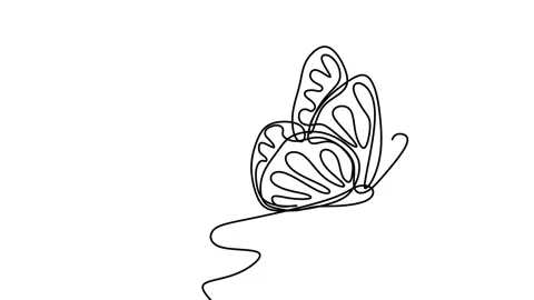 Single continuous drawing of butterfly, drawing by hand with black lines and  Stock Footage 157037731