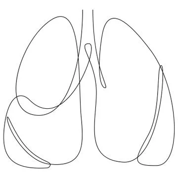 Single continuous line art anatomical human lungs silhouette. Healthy medicine Stock Illustration