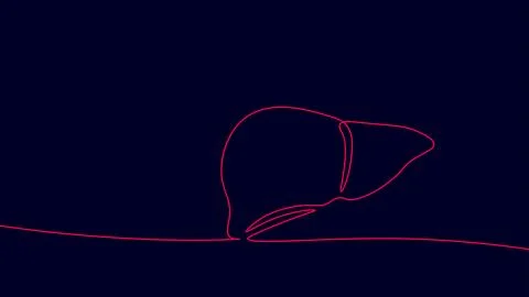 Single continuous line art anatomical human liver silhouette. Healthy medicine イラスト素材