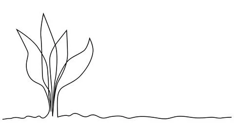Single continuous line art growing sprout. Plant leaves seed grow soil seedli Illustration