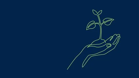 Single continuous line art growing sprout. Plant leaves seed grow soil seedling Stock-Illustration