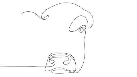 Single continuous line draw plump cow head Stock Footage 197062074