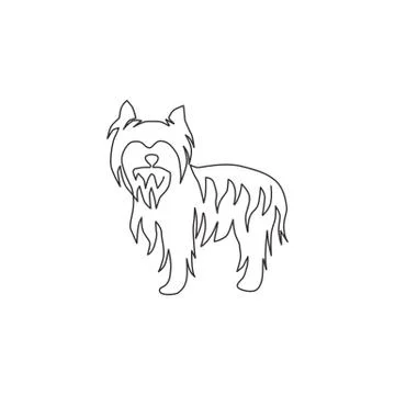 Single continuous line drawing of adorable yorkshire terrier dog for company Stock-Illustration