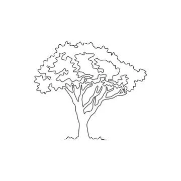 Single continuous line drawing beautiful marula tree for home decor wall art Stock-Illustration