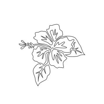 Single continuous line drawing of beauty fresh hibiscus for park logo Illustrazione stock