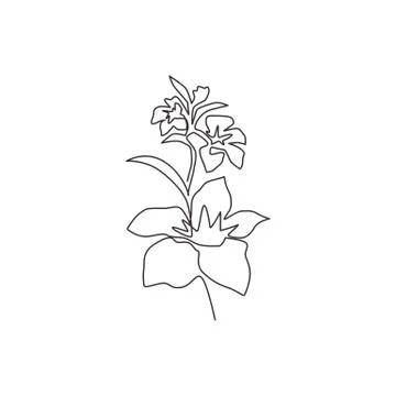 Single continuous line drawing of beauty fresh orchid for wall home decor art Illustrazione stock