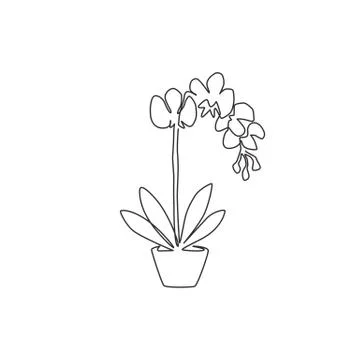 Single continuous line drawing of beauty fresh gladiolus for home decor Illustrazione stock