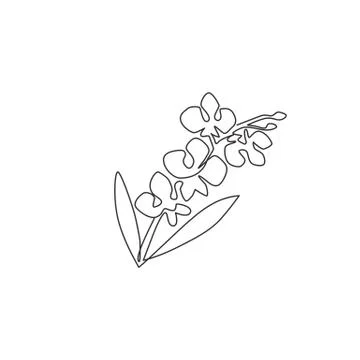 Single continuous line drawing of beauty fresh gladiolus. Printable decor Stock Illustration