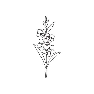 Single continuous line drawing of beauty fresh evergreen jasmine flower Illustration