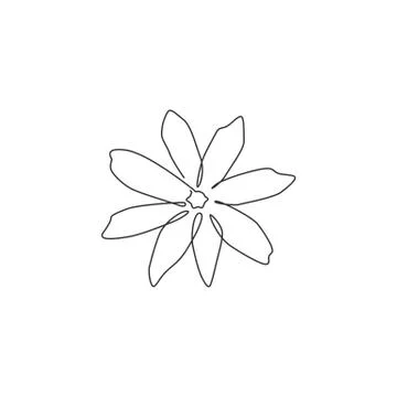 Single continuous line drawing of beauty fresh evergreen jasmine flower Stock Illustration