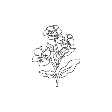 Single continuous line drawing beauty fresh ranunculus for home decor wall Stock Illustration