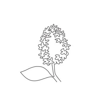 Single continuous line drawing beauty fresh syringa vulgaris for home decor イラスト素材