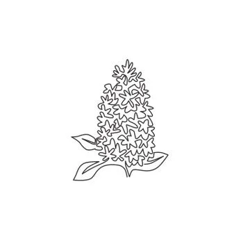 Single continuous line drawing beauty fresh syringa vulgaris for wall decor Illustrazione stock