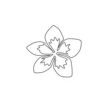Single continuous line drawing of beauty fresh plumeria for garden logo Stock-Illustration