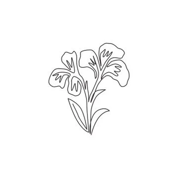 Single continuous line drawing of beauty fresh canna for garden logo Stock Illustration