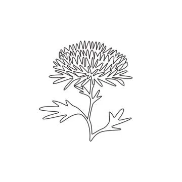 Single continuous line drawing beauty fresh chrysanthemum for garden logo Stock Illustration