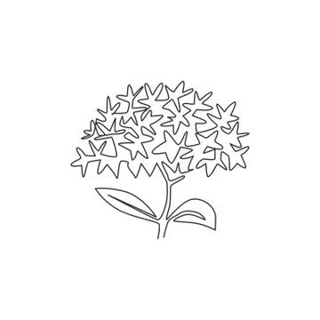 Single continuous line drawing  beauty fresh flower plant for home decor wall イラスト素材