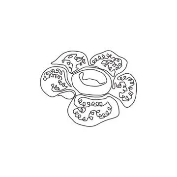 Single continuous line drawing of beauty fresh corpse lily for home wall art Illustration