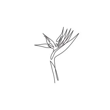 Single continuous line drawing of beauty fresh strelitzia for home wall decor Illustrazione stock