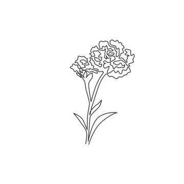 Single continuous line drawing of beauty fresh carnation for garden logo Illustrazione stock