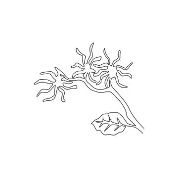 Single continuous line drawing beauty fresh witch hazels for home wall decor Stock Illustration