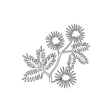 Single continuous line drawing of beauty fresh mimosa pudica for home decor Stock Illustration